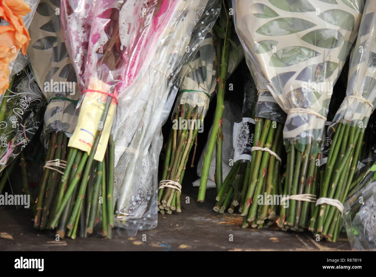 Green gli steli tagliati da una dozzina di mazzi di fiori impilati come offerte a Nostra Signora di Guadalupe Santuario in Des Plaines, Illinois, Stati Uniti d'America. Nuestra Señora de Guadalupe. Foto Stock