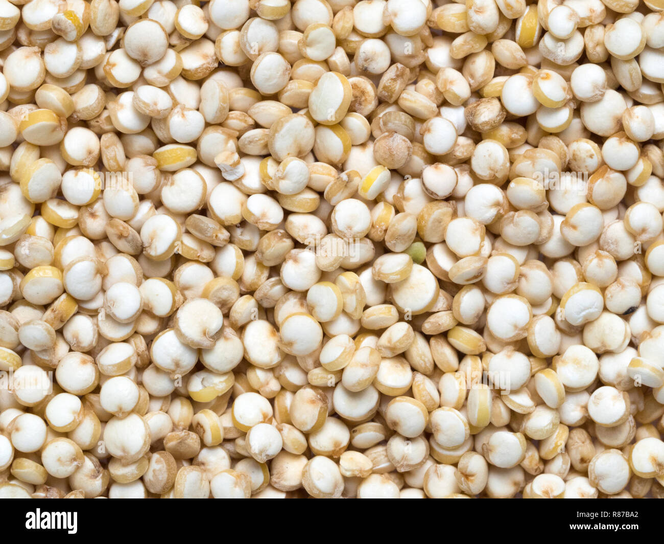 Grano di quinoa. Non cotti materie la quinoa come sfondo. Sano cibo vegan concetto e modello Foto Stock