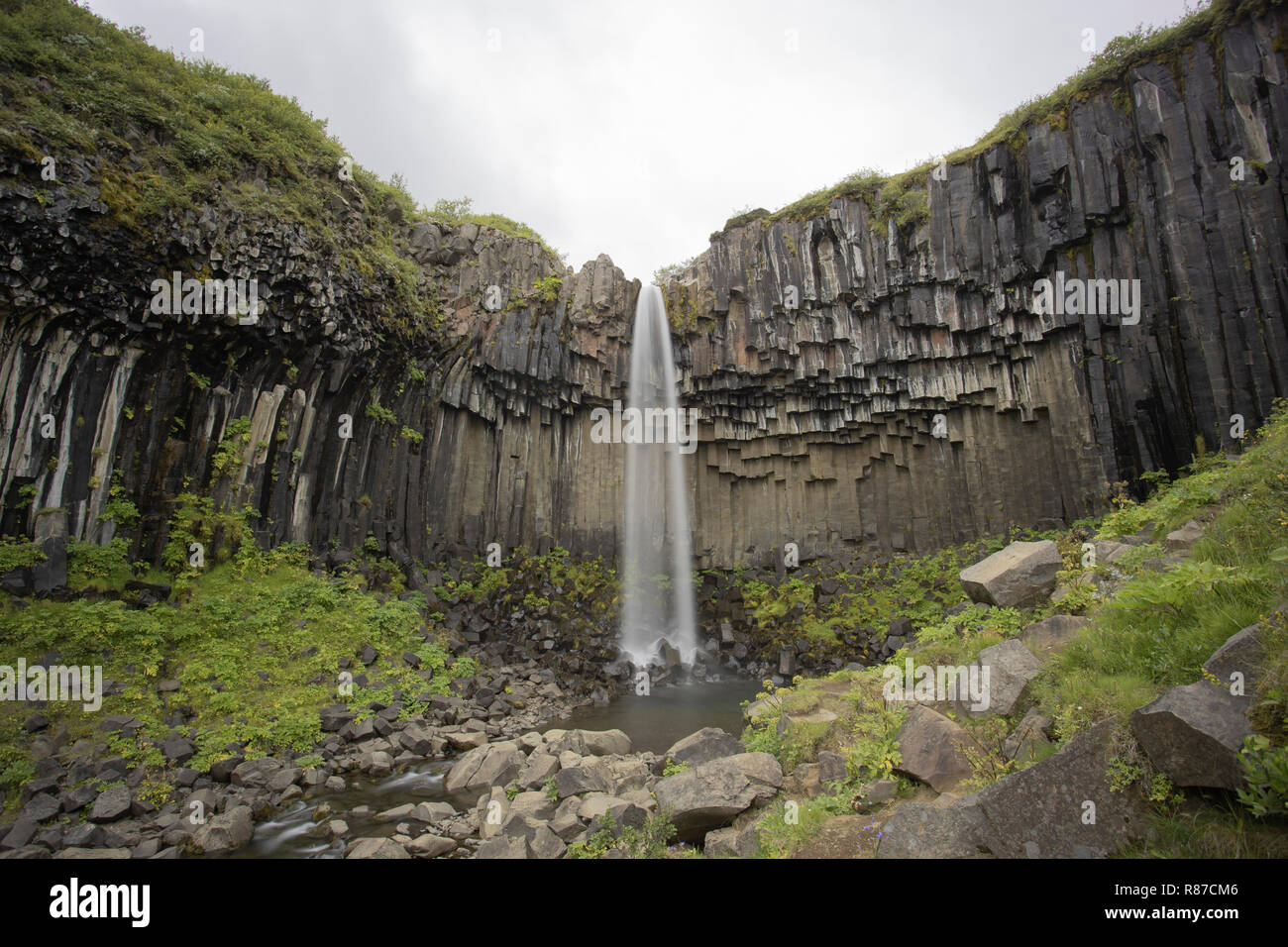Svartifoss cascata, Vatnajokull National Park, Islanda Foto Stock