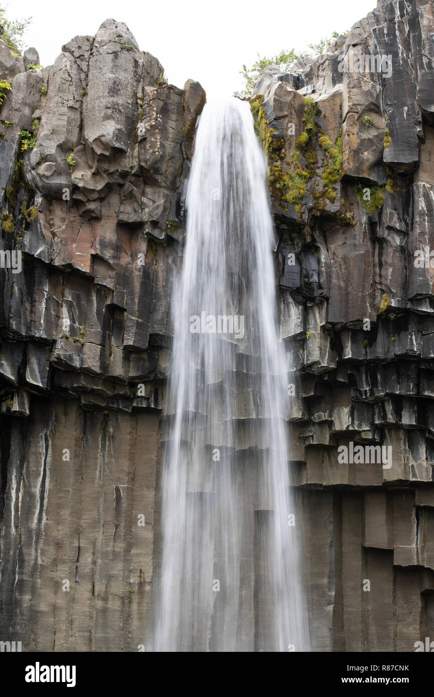 Svartifoss cascata, Vatnajokull National Park, Islanda Foto Stock