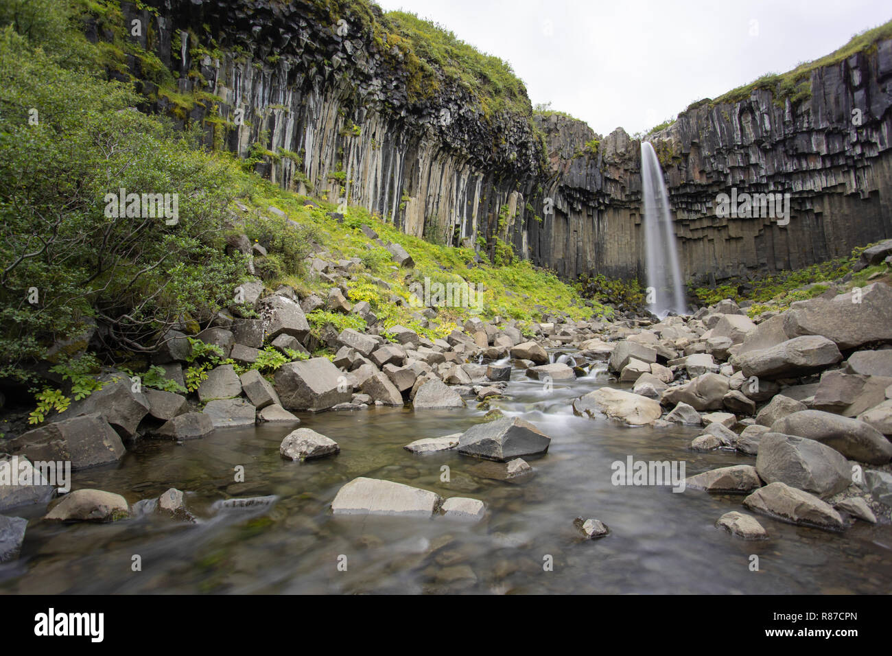 Svartifoss cascata, Vatnajokull National Park, Islanda Foto Stock