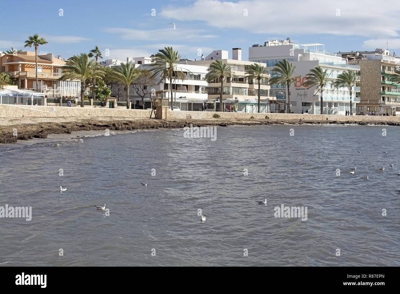 CAN PASTILLA, MALLORCA, Spagna - 25 novembre 2018: Gabbiani nella baia e BQ Aquamarina hotel fronte oceano forti venti in una giornata di sole su 25 Novembre 2 Foto Stock