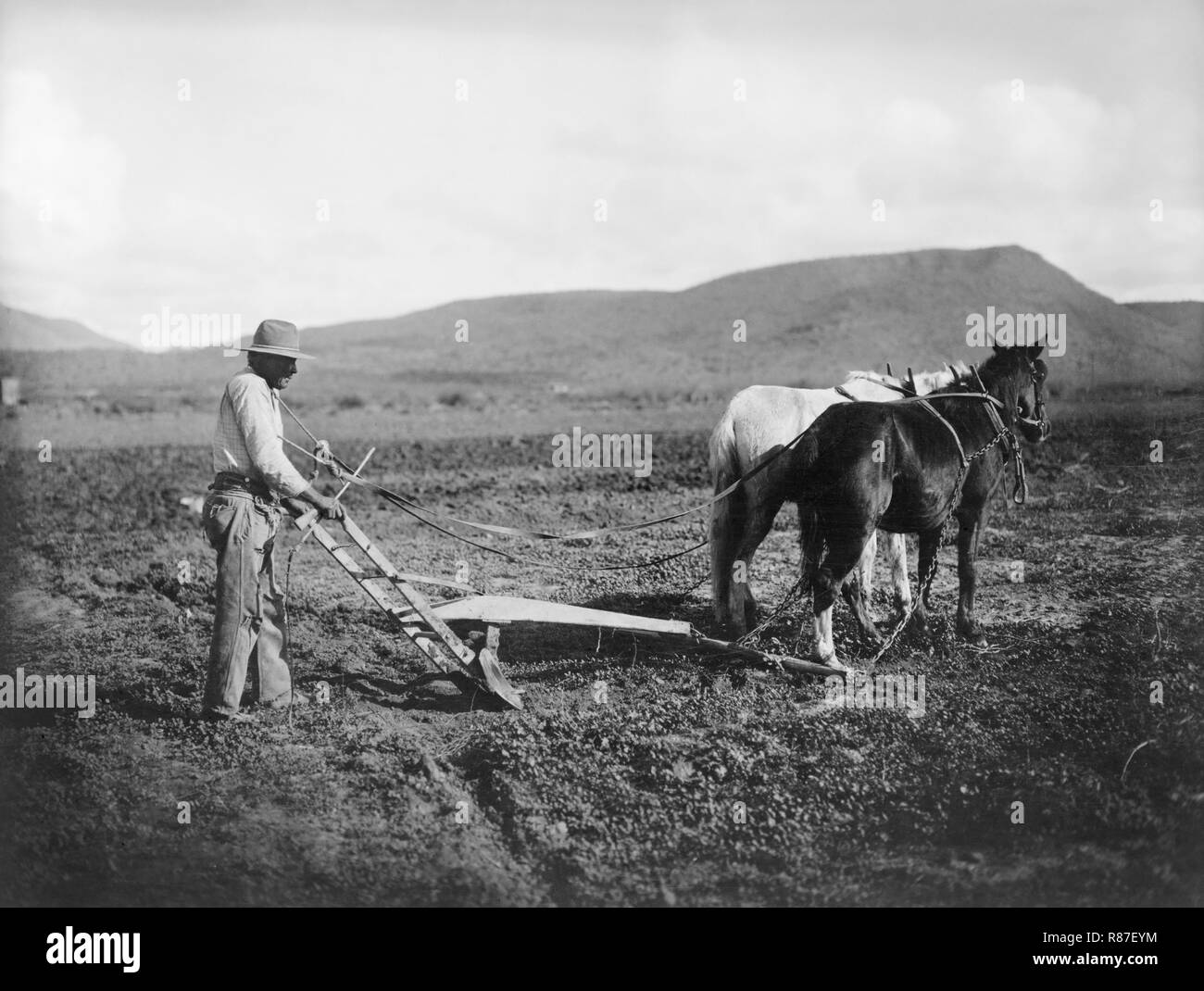 Uomo Campo di aratura, sale River Project, Sacaton, Arizona, Stati Uniti d'America, nazionale foto Azienda, 1910's Foto Stock