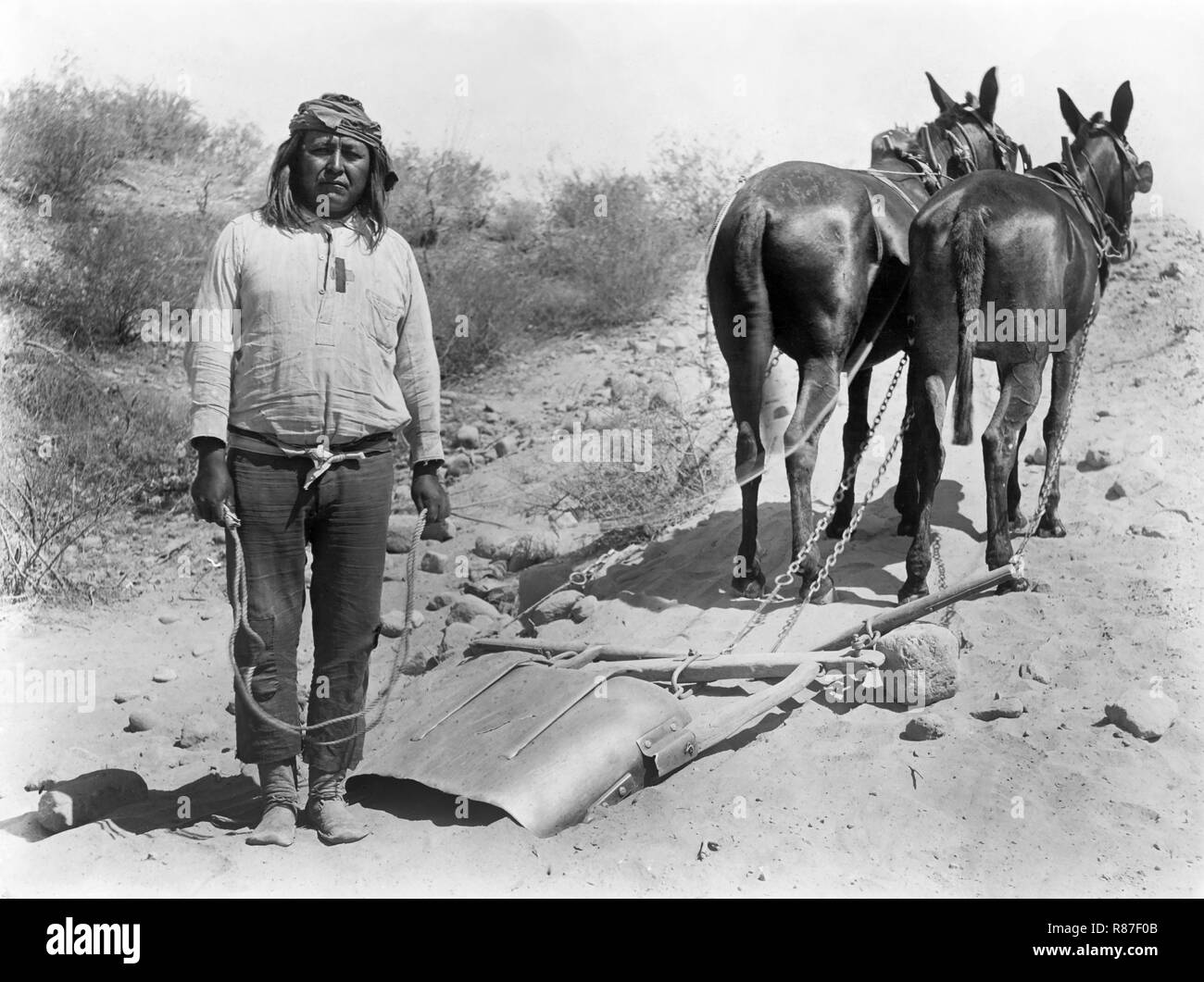 Cushong o Fat Hen, operaio con due muli, sale River Project, Arizona, Stati Uniti d'America, nazionale foto Azienda, 1910's Foto Stock