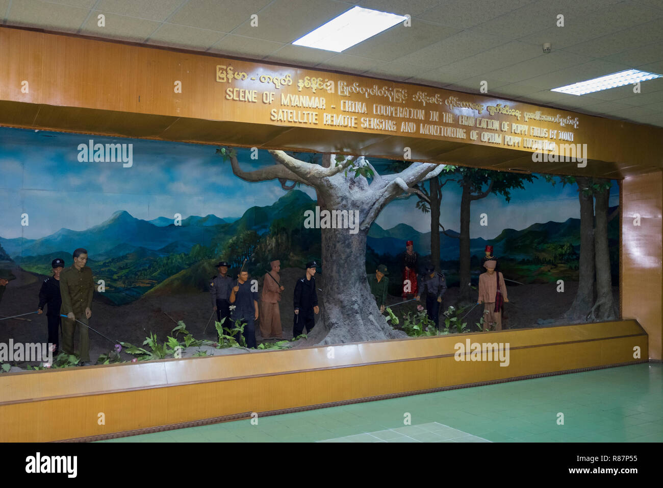 Diorama che mostra la distruzione di papavero alla eliminazione del farmaco Museum di Yangon, Myanmar. Foto Stock