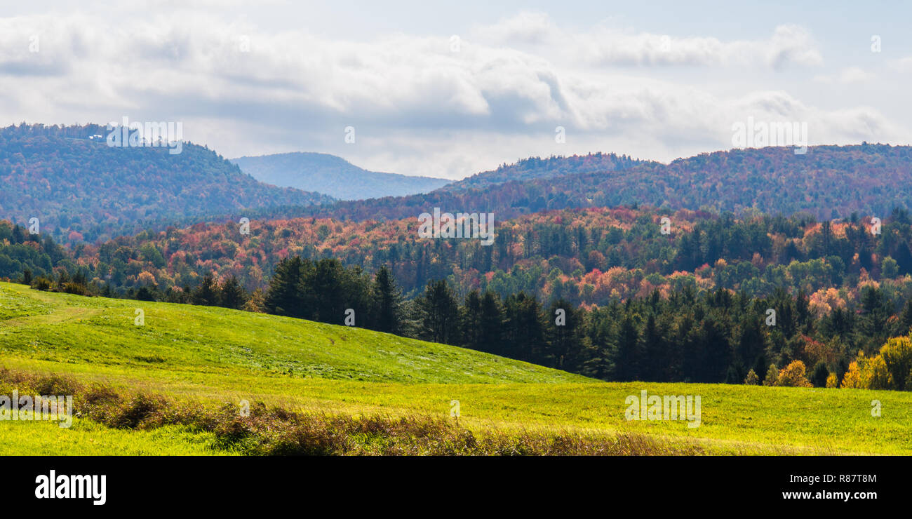 Colline di prato verde con foreste boscose luminose in autunno caduta delle foglie Foto Stock