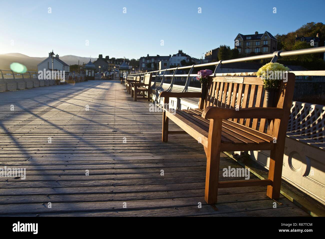Fiori su un banco di legno sul molo di Bangor all'alba, Bangor, Gwynedd, Galles del Nord, Regno Unito Foto Stock