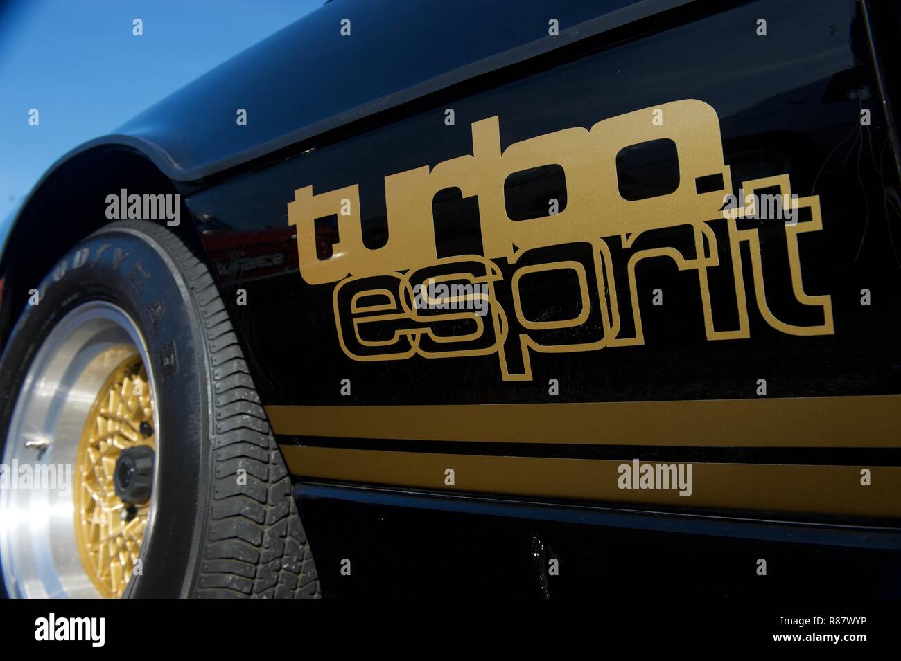 Lotus Esprit grafica turbo Foto Stock