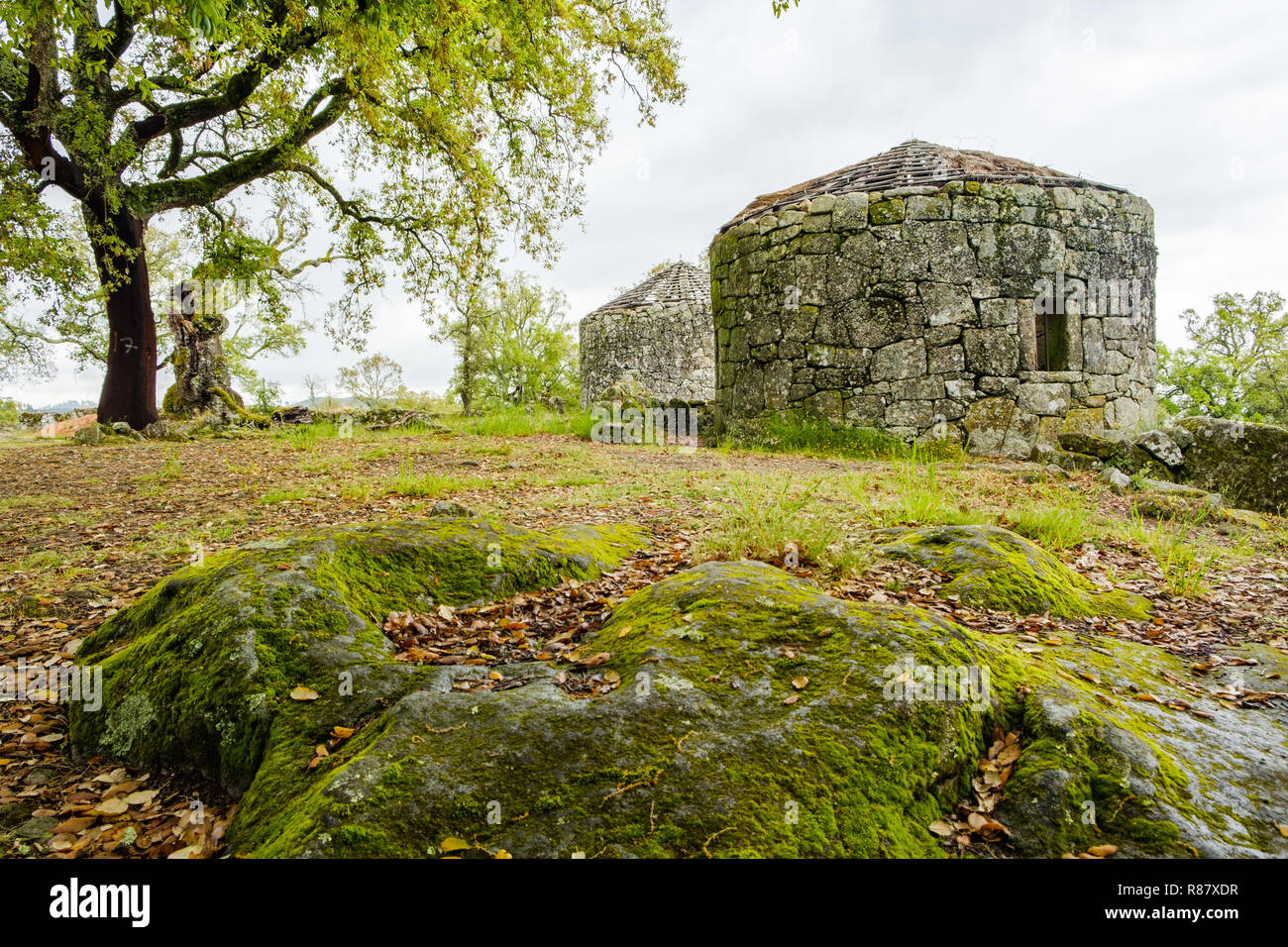 Guimaraes, Portogallo - 31 Maggio 2018 : La cittadella di Briteiros è un sito archeologico dell'Età del Ferro. Guimaraes, Portogallo Foto Stock