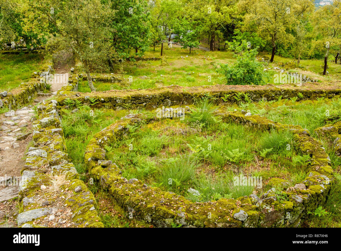 Guimaraes, Portogallo - 31 Maggio 2018 : La cittadella di Briteiros è un sito archeologico dell'Età del Ferro. Guimaraes, Portogallo Foto Stock