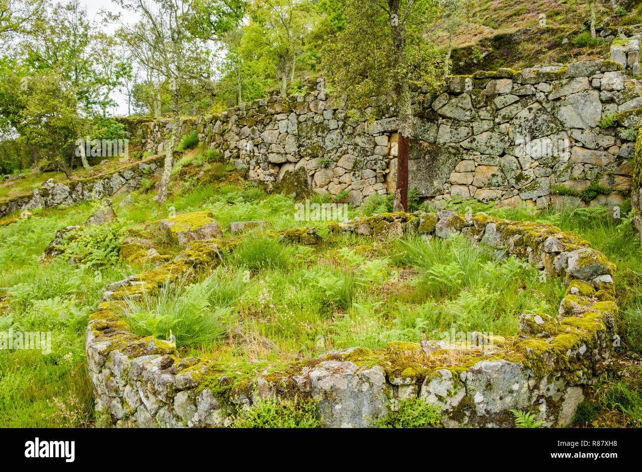 Guimaraes, Portogallo - 31 Maggio 2018 : La cittadella di Briteiros è un sito archeologico dell'Età del Ferro. Guimaraes, Portogallo Foto Stock