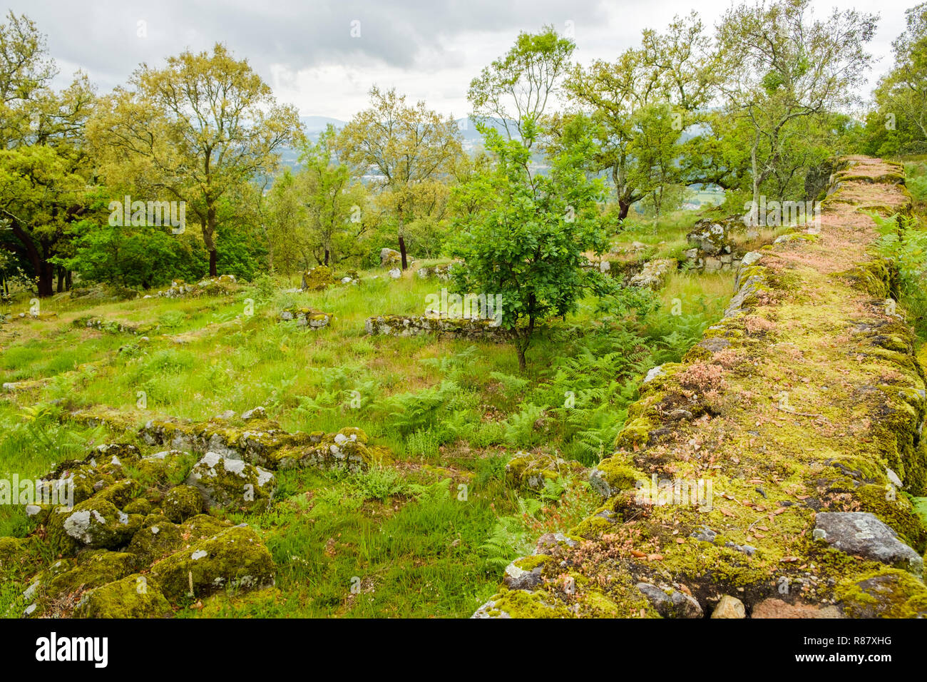 Guimaraes, Portogallo - 31 Maggio 2018 : La cittadella di Briteiros è un sito archeologico dell'Età del Ferro. Guimaraes, Portogallo Foto Stock