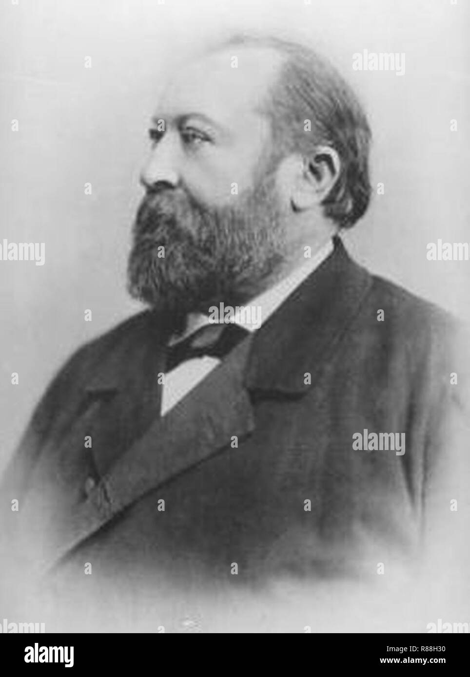 Carl Ritter von Braun Fernwald circa 1880. Foto Stock