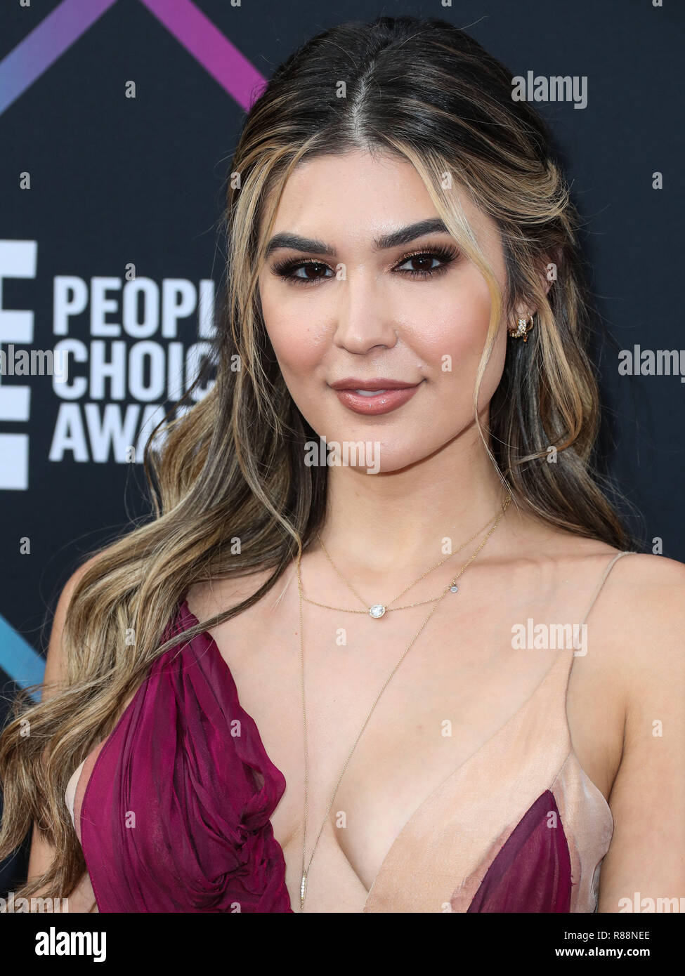 SANTA MONICA, Los Angeles, CA, Stati Uniti d'America - 11 novembre: Cathy Kelley al People's Choice Awards 2018 tenutasi a Barker Hangar su Novembre 11, 2018 in Santa Monica, Los Angeles, California, Stati Uniti. (Foto di Xavier COLLIN/Image Press Agency) Foto Stock