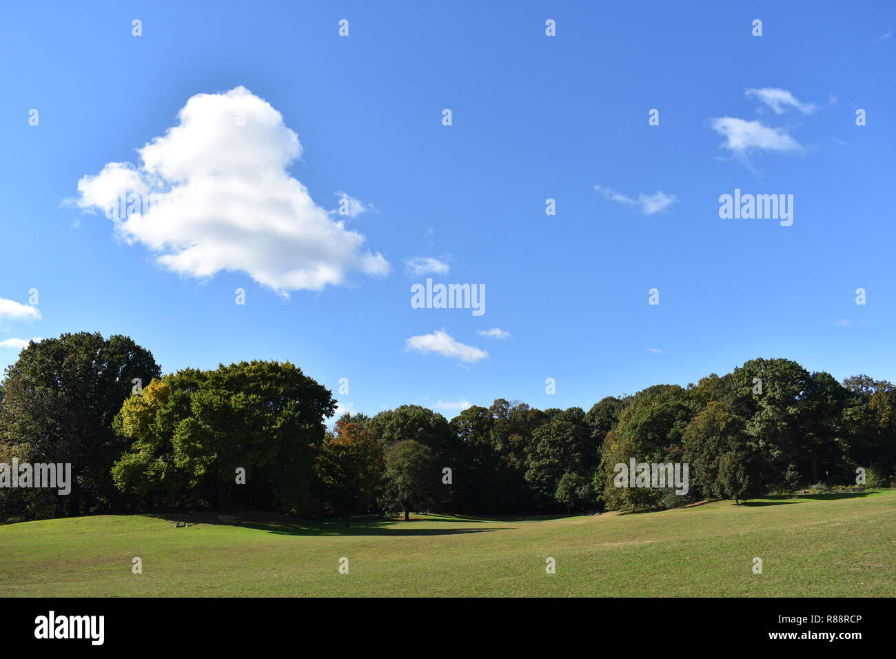 Cielo blu, il bianco delle nuvole erba verde Foto Stock