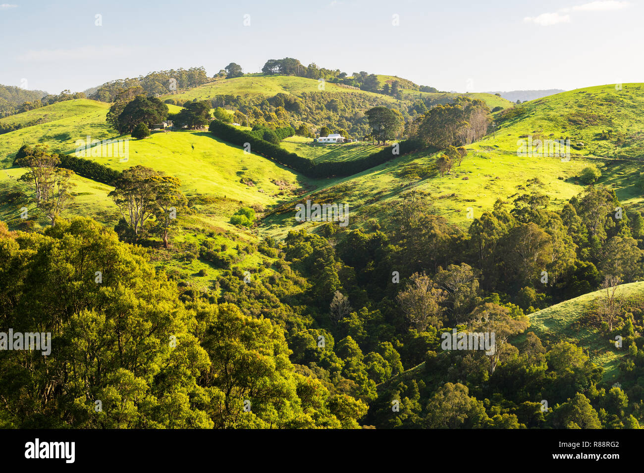 Dolci colline nel retroterra di Apollo Bay presso la famosa Great Ocean Road. Foto Stock