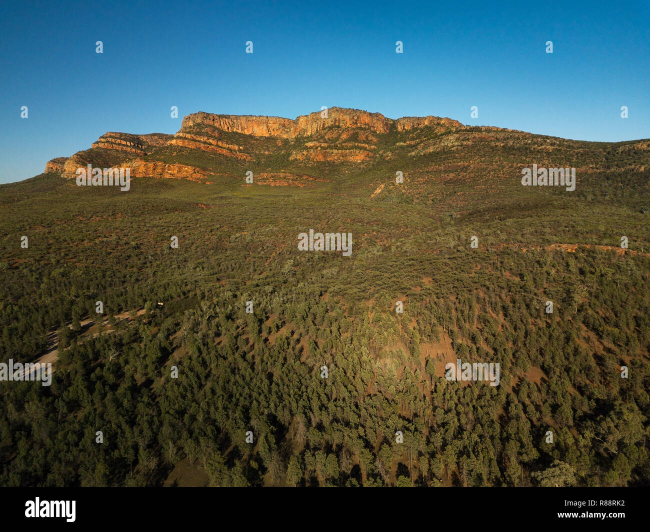 Antenna di Rawnsley Bluff, parte di Wilpena Pound in Flinders Ranges. Foto Stock