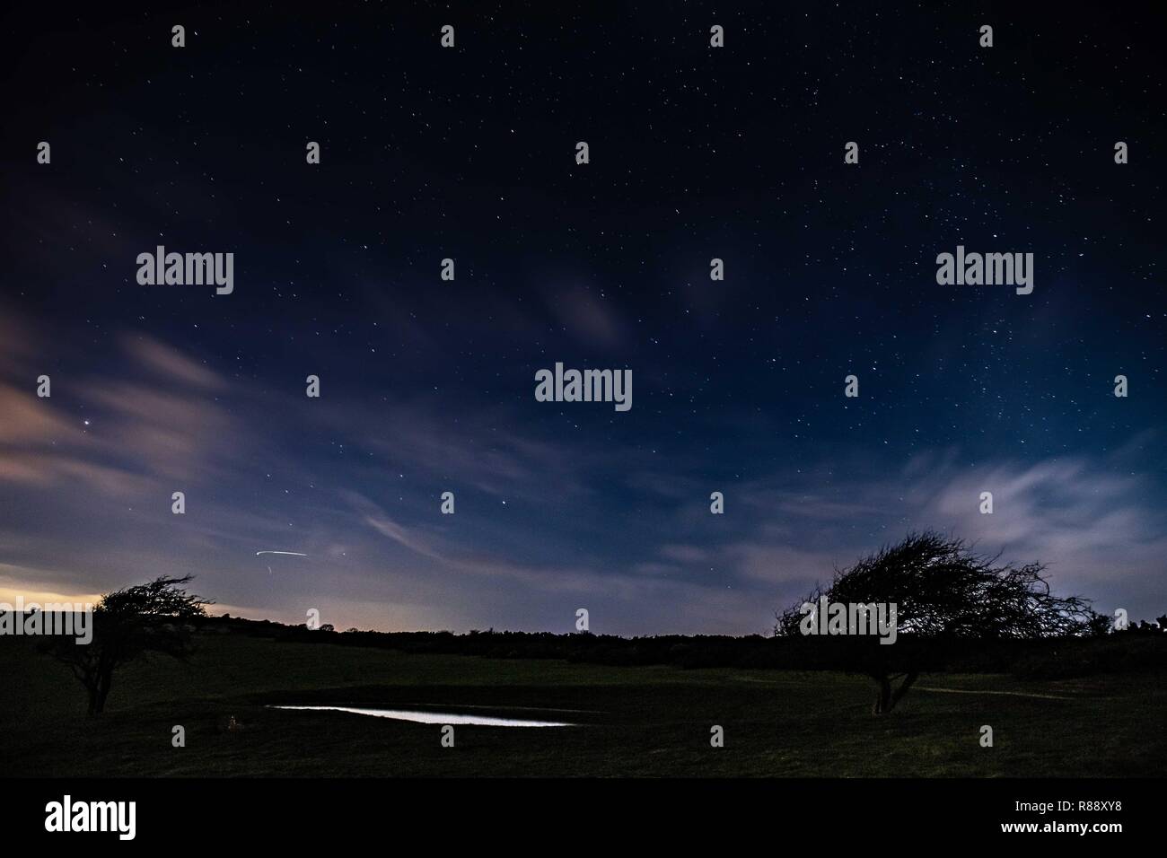 Stagliano tree e cielo stellato sopra Ditchling Beacon, Sussex, Regno Unito Foto Stock