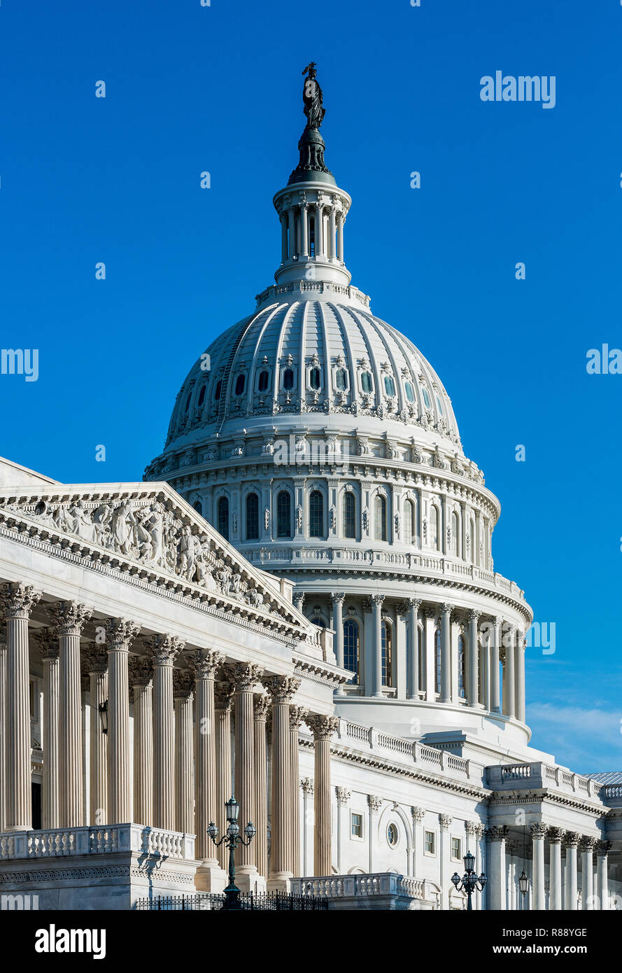 United States Capitol Building, Washington DC, Stati Uniti d'America. Foto Stock