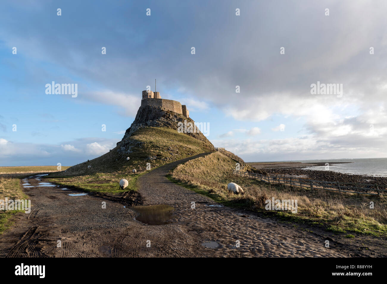 Lindisfarne Castle, Isola Santa, Northumberland Foto Stock