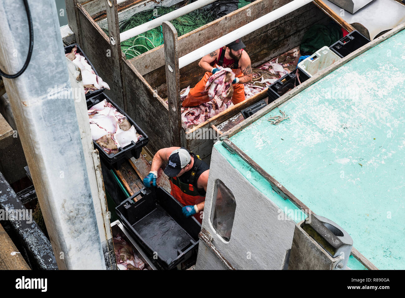 Pattino commerciale bottino di pesca, Chatham Cape Cod, Massachusetts, STATI UNITI D'AMERICA. Foto Stock