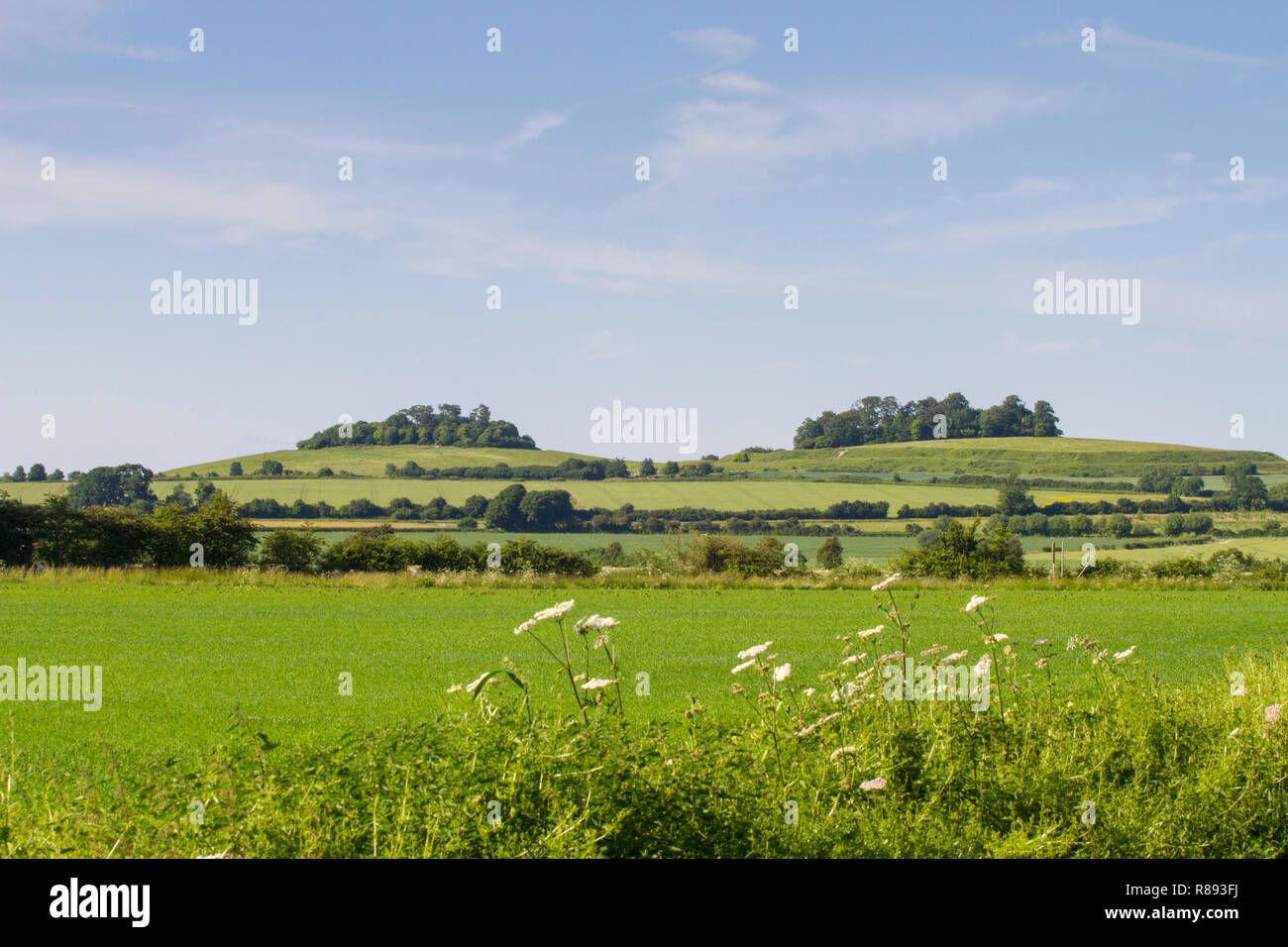 Wittenham Clumps, Oxfordshire, da ovest con collina rotonda a sinistra e la Collina del Castello a destra Foto Stock