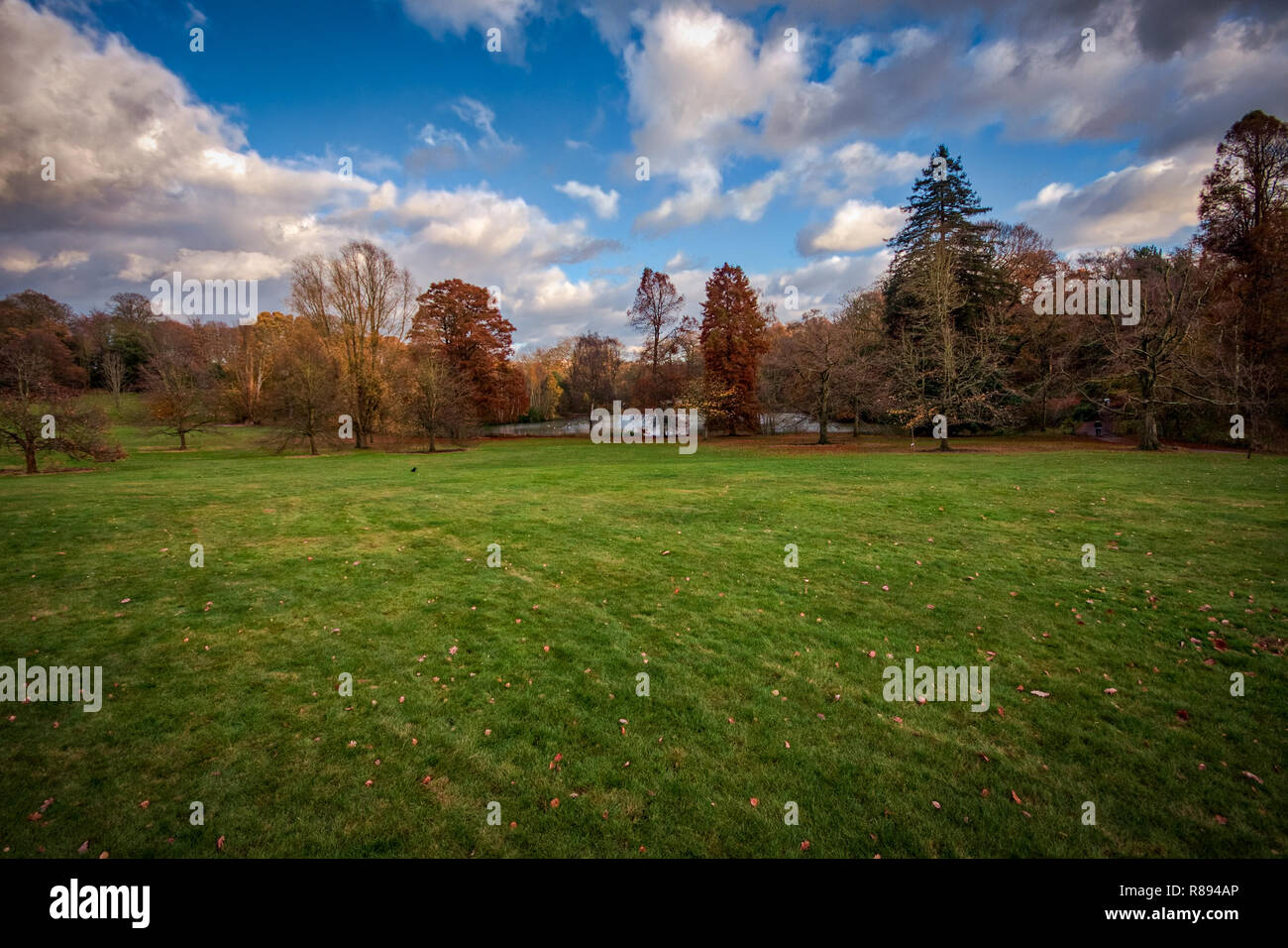 North London park Hampstead Heath su un autunno giornata di sole Foto Stock