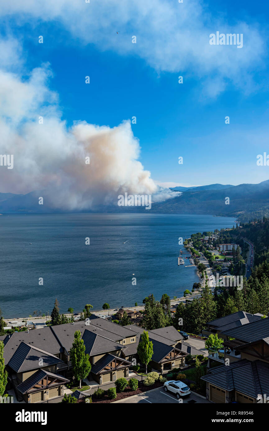 Fumo di un incendio in un bosco vicino Pearchland della Columbia britannica in Canada Foto Stock