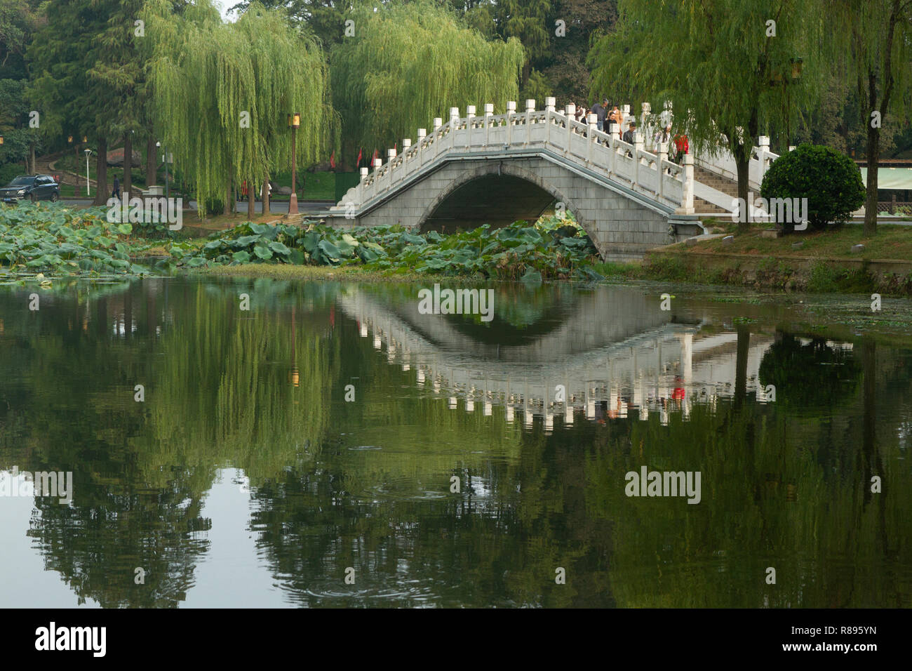 Ponte e struttura circostante riflessa nell'acqua in East Lake, Wuhan, Cina. Crystal clear la riflessione sull'acqua del Ponte e dintorni Gli alberi di salice. Foto Stock Ponte e struttura circostante riflessa nell'acqua in East Lake, Wuhan, Cina. Crystal clear la riflessione sull'acqua del Ponte e dintorni Gli alberi di salice. Foto Stock