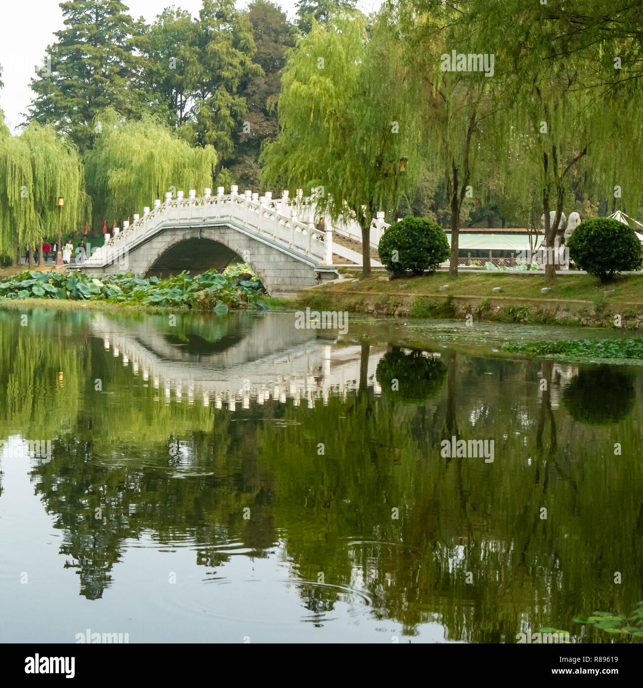 Ponte e struttura circostante riflessa nell'acqua in East Lake, Wuhan, Cina. Crystal clear la riflessione sull'acqua del Ponte e dintorni Gli alberi di salice. Foto Stock Ponte e struttura circostante riflessa nell'acqua in East Lake, Wuhan, Cina. Crystal clear la riflessione sull'acqua del Ponte e dintorni Gli alberi di salice. Foto Stock
