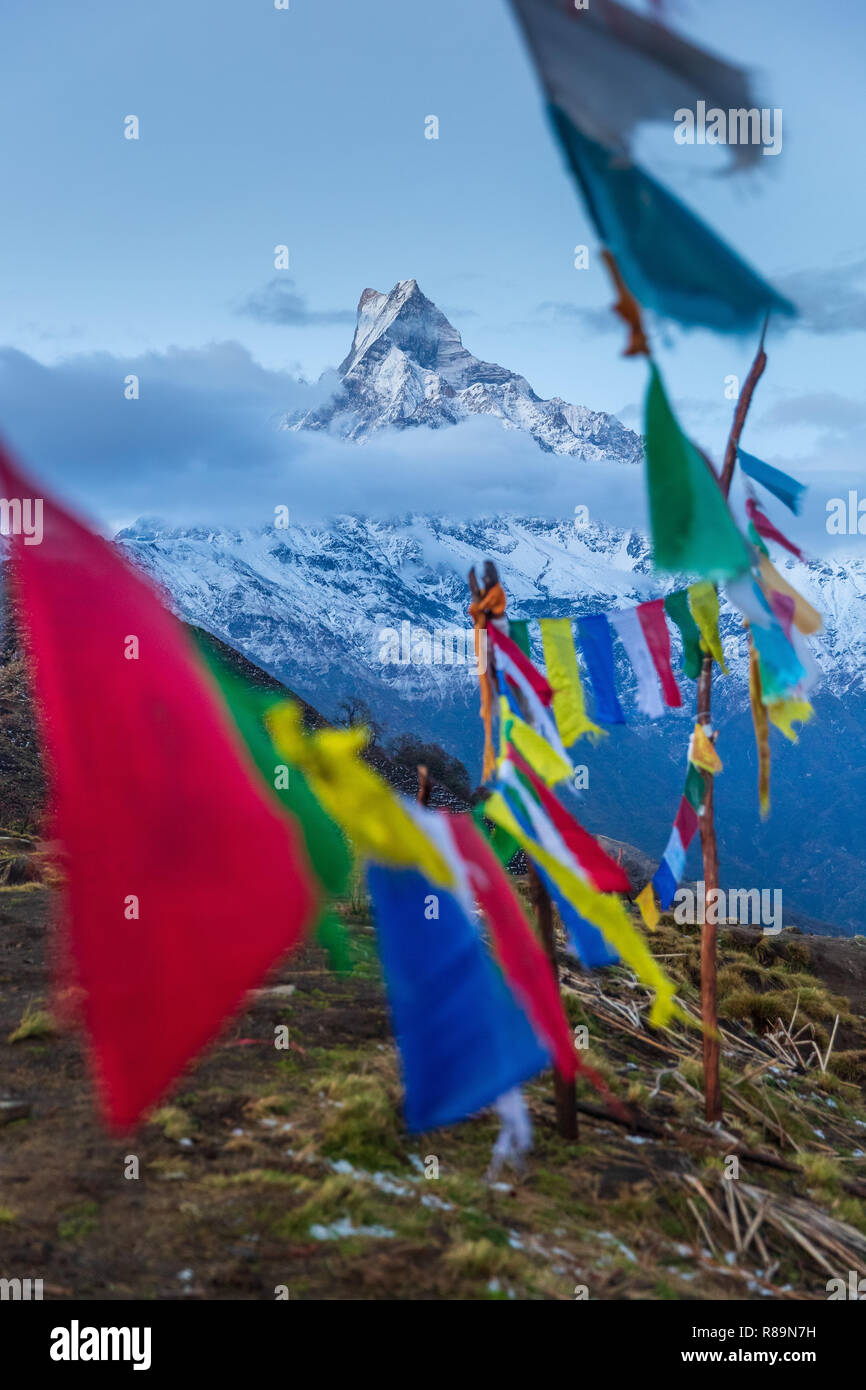 Majestic coda di pesce, Machapuchare picco di montagna e colorati bandiere di preghiera in Annapurna Himal, Nepal, Himalaya, Asia Foto Stock