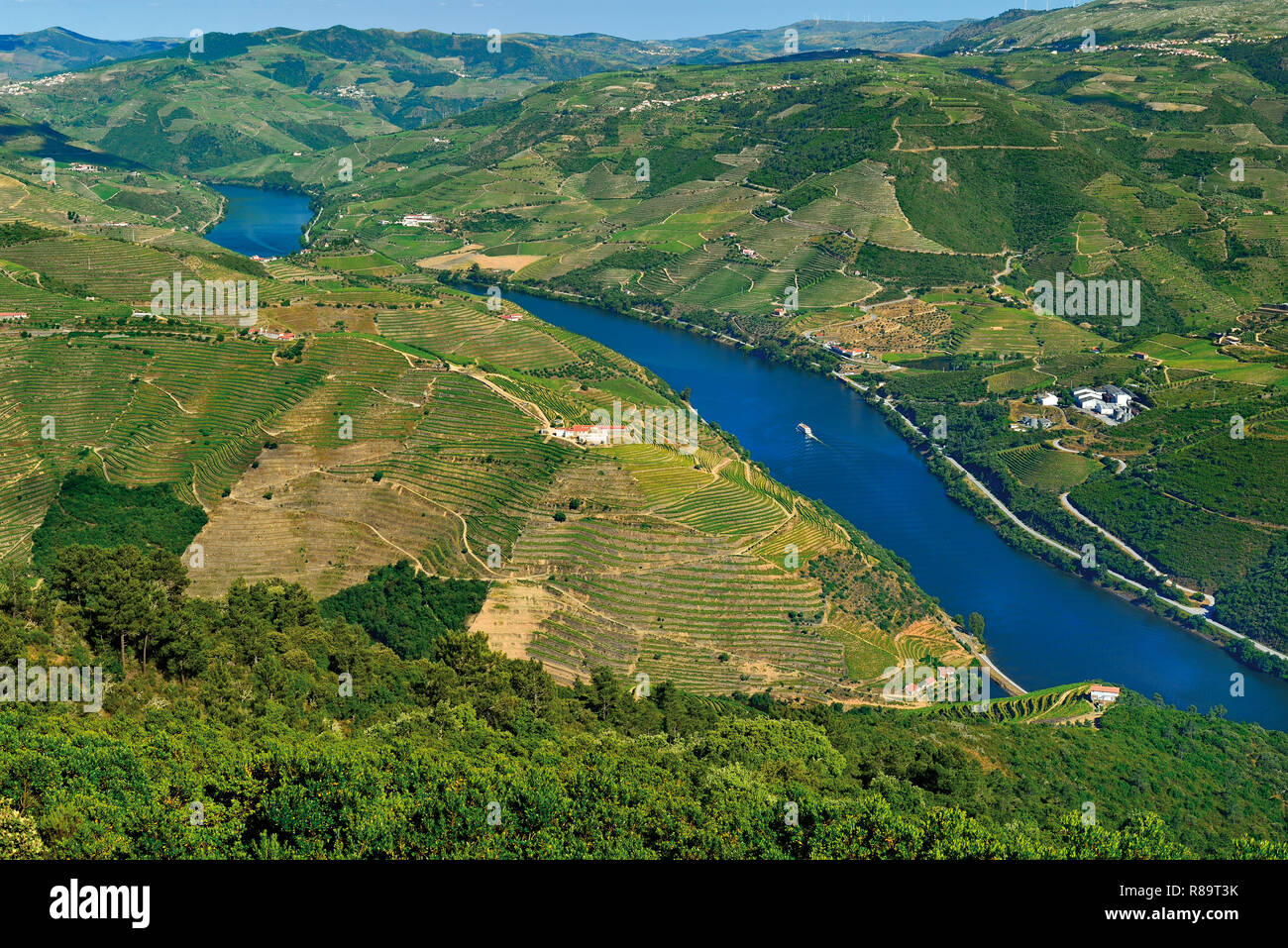 Splendida vista sul fiume Douro e il verde paesaggio di vigneti nei dintorni Foto Stock