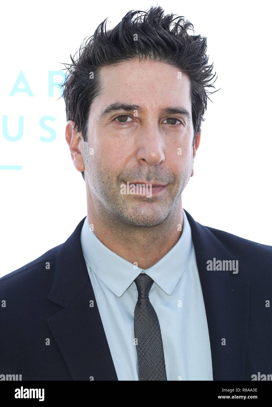 BEVERLY HILLS, LOS ANGELES, CA, Stati Uniti d'America - 7 OTTOBRE: L'attore e regista americano David Schwimmer all'Annual Brunch 2018 della R8pe Foundation, a beneficio del R8pe Treatment Center e della Stuart House presso il Santa Monica-UCLA Medical Center, tenutosi presso la Ron Burkle's Green Acres Estate il 7 ottobre 2018 a Beverly Hills, Los Angeles, California, Stati Uniti. (Foto di Xavier Collin/Image Press Agency) Foto Stock