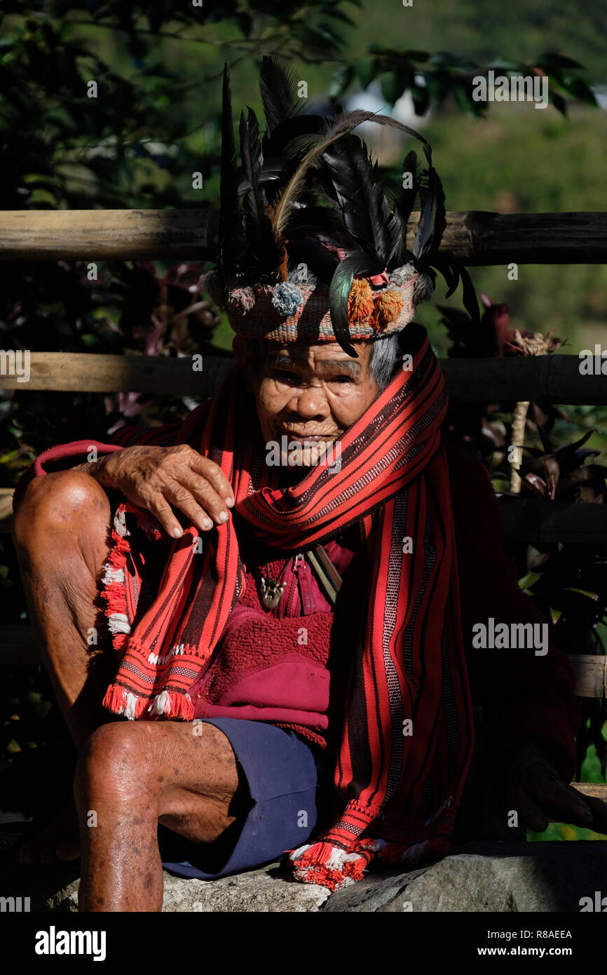 Un anziano uomo Ifugao indossare copricapo ornato con piume al Banaue terrazze di riso nel nord di Luzon, Filippine. In passato gli Ifugao noto anche come Ifugaw, Ipugao, Yfugao temevano erano cacciatori di teste, così come altre tribù delle regioni montuose del Luzon del nord. Foto Stock