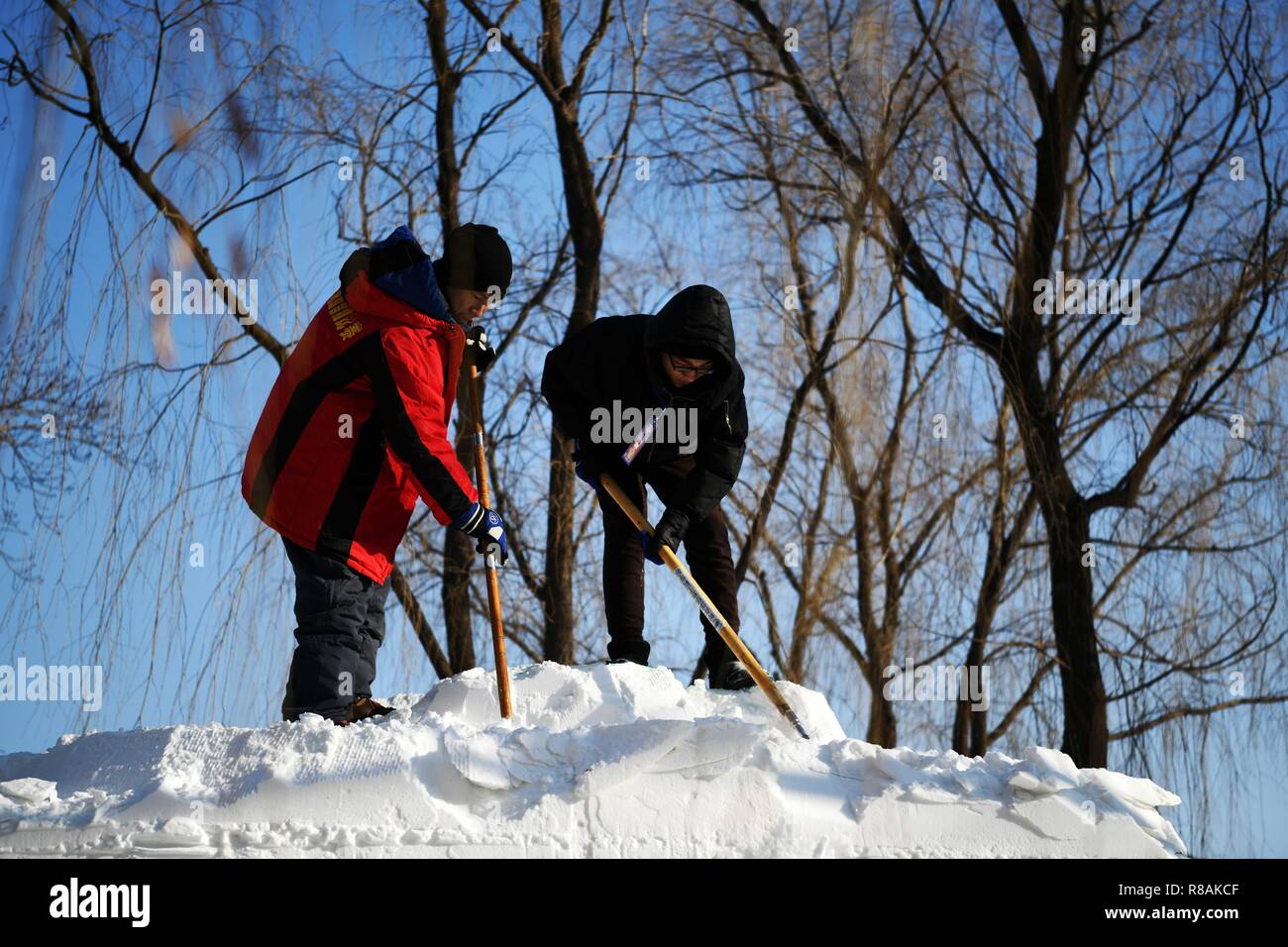 Harbin, la Cina della Provincia di Heilongjiang. Xiv Dic, 2018. I concorrenti scolpire sculture di neve durante un concorso di sculture in neve a Sun Island International Snow Sculpture Art Expo park di Harbin, capitale del nord-est della Cina di Provincia di Heilongjiang, Dic 14, 2018. Un totale di 20 squadre hanno partecipato nei quattro giorni di manifestazione sono iniziate il venerdì. Credito: Wang Jianwei/Xinhua/Alamy Live News Foto Stock