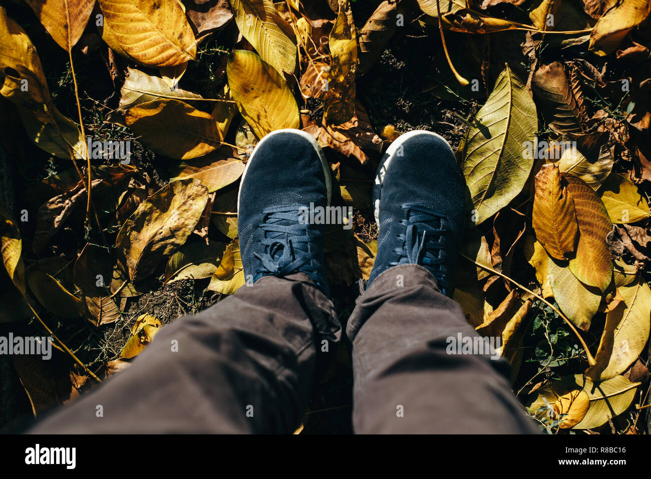 Un ragazzo in pantaloni grigi e scarpe blu scamosciate è in piedi sul suolo coperto di foglie di autunno. Foto Stock