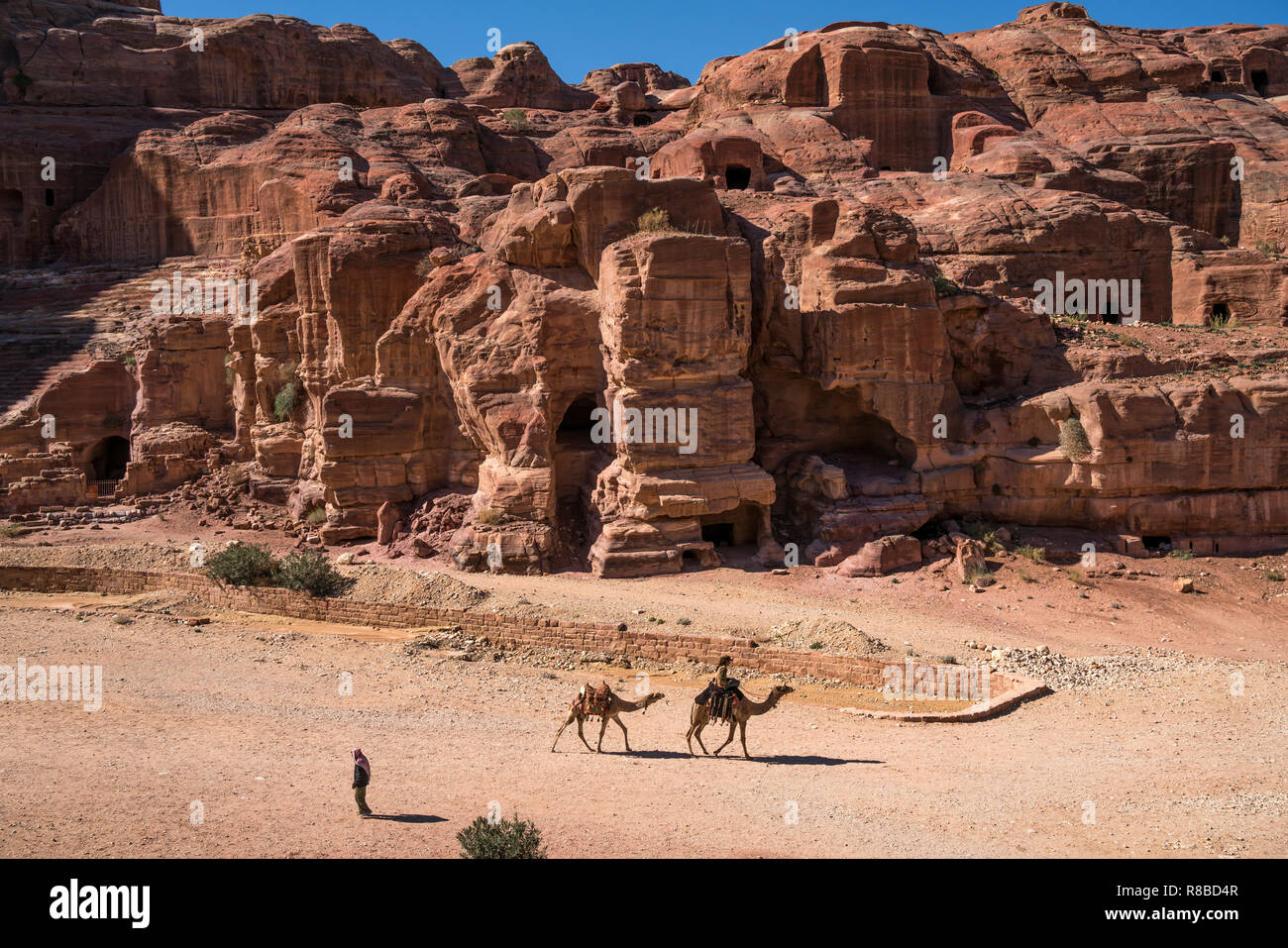 Kamele in der historischen Ruinenstätte Petra, Jordanien, Asien | cammelli all'antica città di Petra, Giordania, Asia Foto Stock
