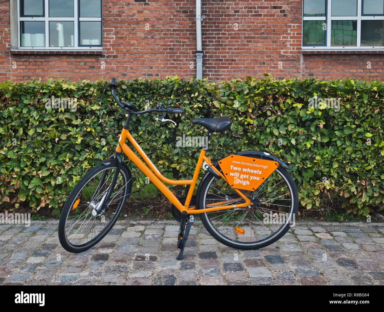 Orange bike da asino Repubblica noleggio bici, Copenhagen, Danimarca e Scandinavia Foto Stock