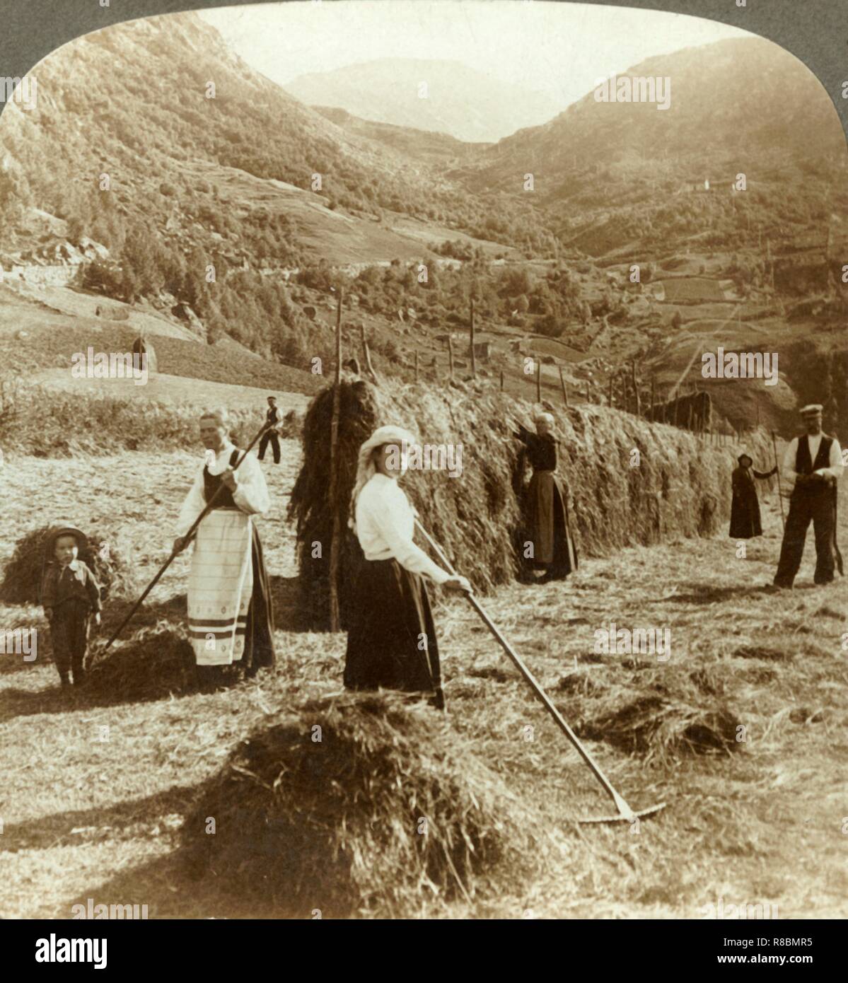 "Una famiglia dell'agricoltore rendendo fieno in un campo di sole tra le montagne, Roldal, Norvegia', C1905. Creatore: sconosciuto. Foto Stock