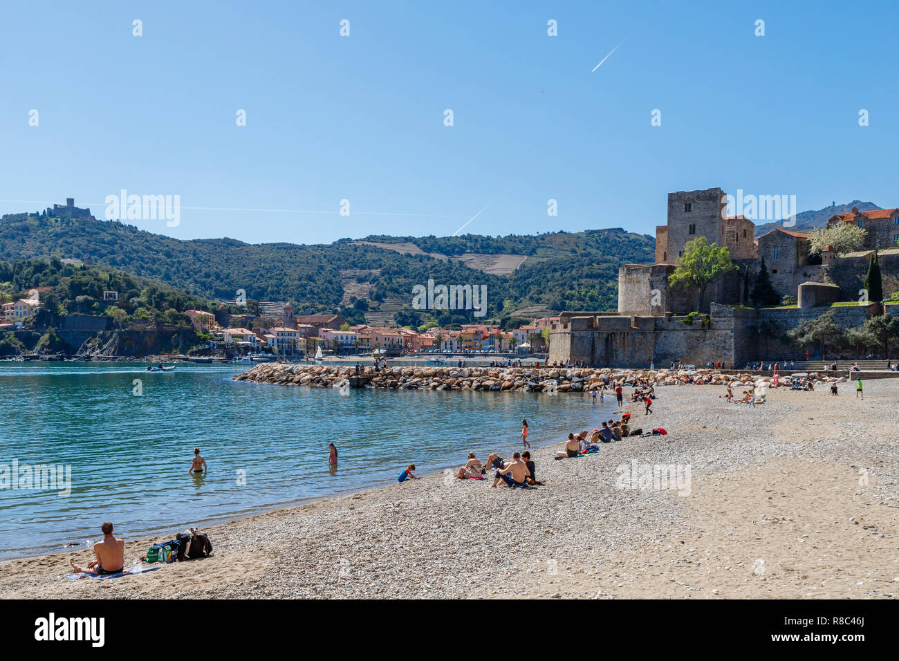 Francia, Pirenei orientali, Cote Vermeille, Collioure, Boramar Beach e il Castello Reale in background // Francia, Pyrénées-Orientales (66), Costa Foto Stock