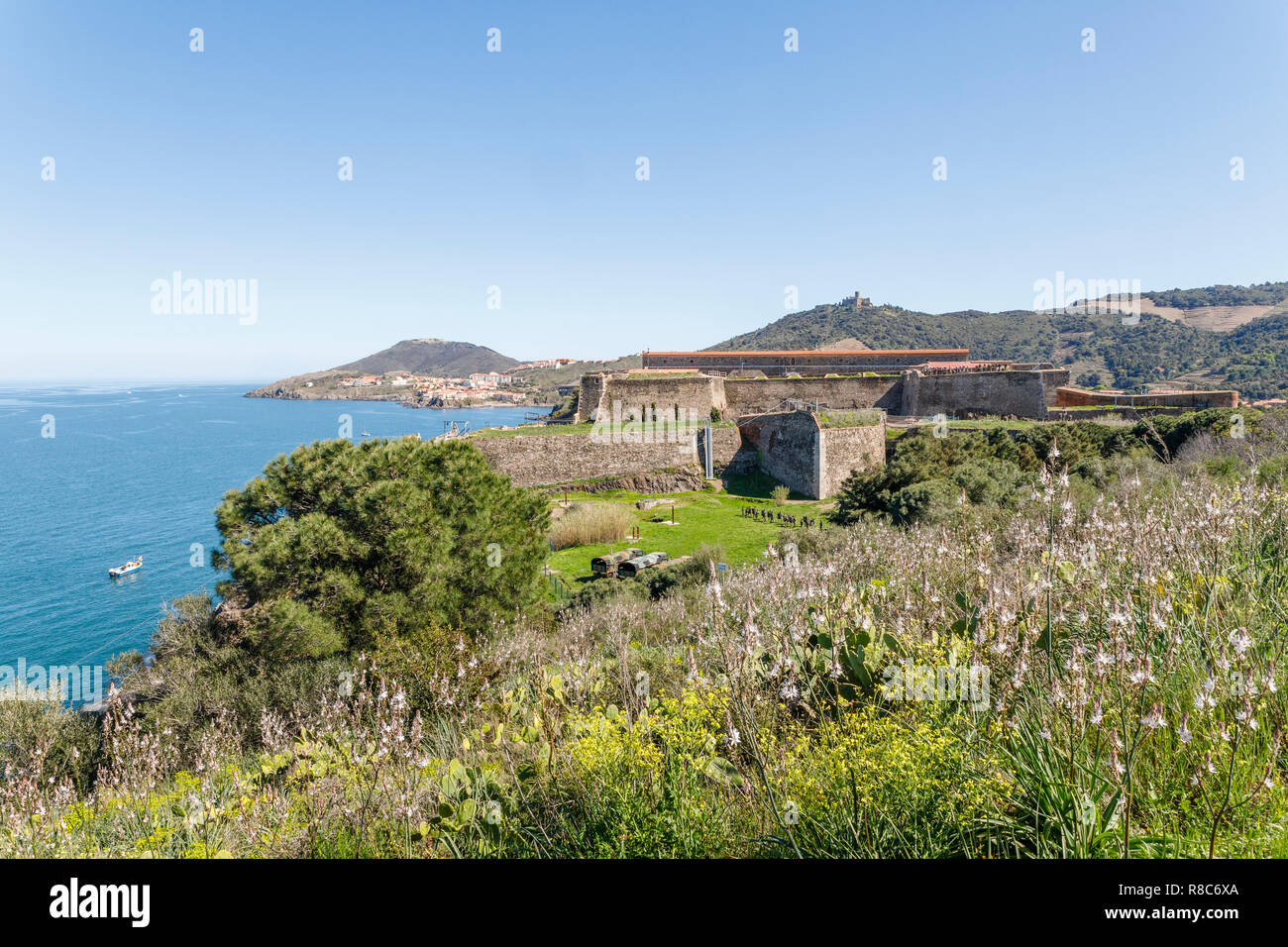 Francia, Pirenei orientali, Cote Vermeille, Collioure, il Fort Miradou proprietà dell'esercito e Port Vendres in background // Francia, Pyrénées-Oriental Foto Stock