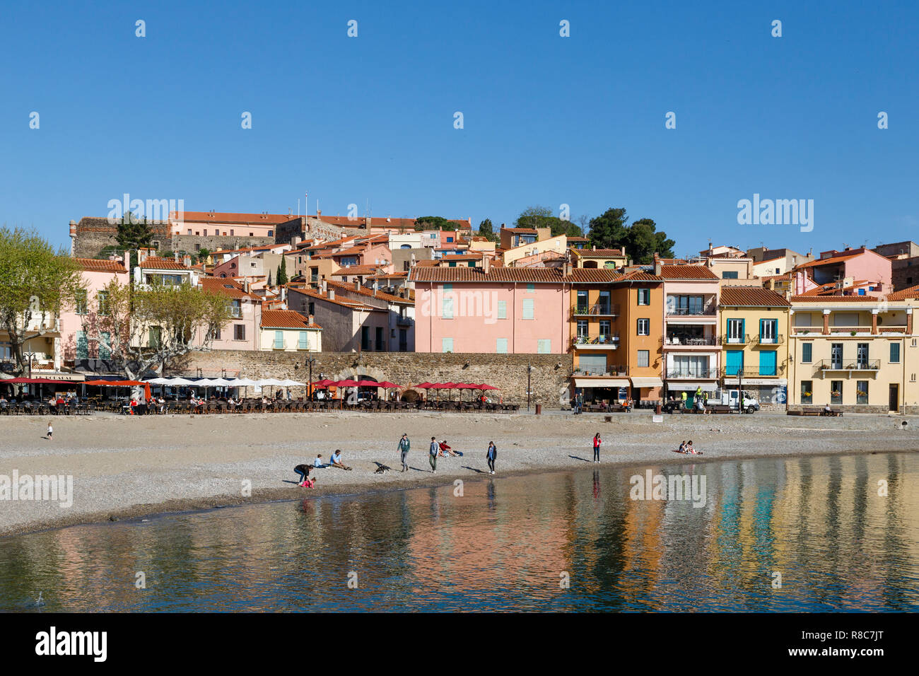 Francia, Pirenei orientali, Cote Vermeille, Collioure, Boramar spiaggia // Francia, Pyrénées-Orientales (66), Côte Vermeille, Collioure, plage Boramar Foto Stock