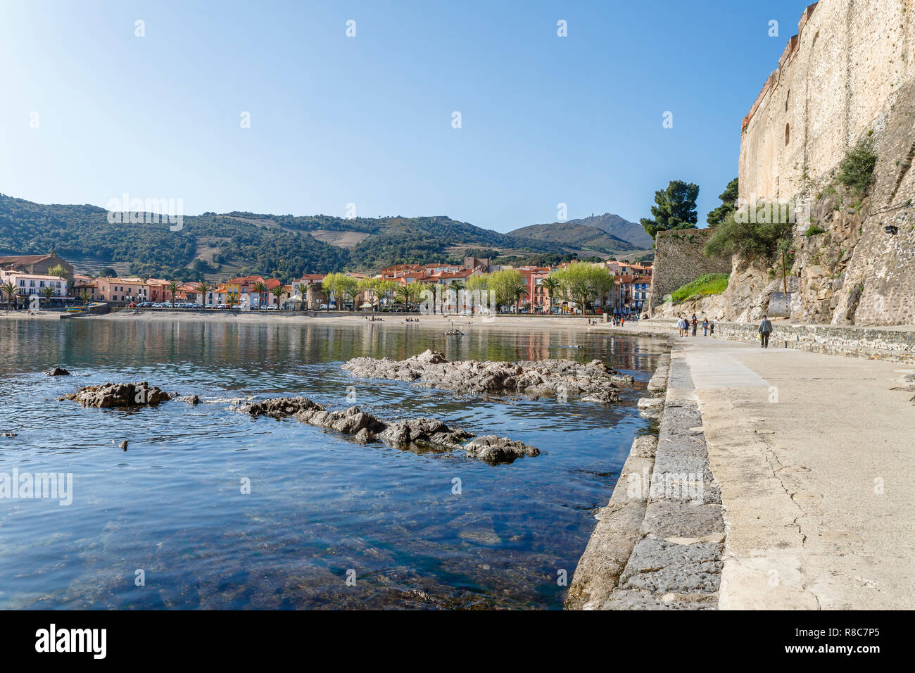 Francia, Pirenei orientali, Cote Vermeille, Collioure, muro difensivo del castello reale // Francia, Pyrénées-Orientales (66), Côte Vermeille, Collio Foto Stock