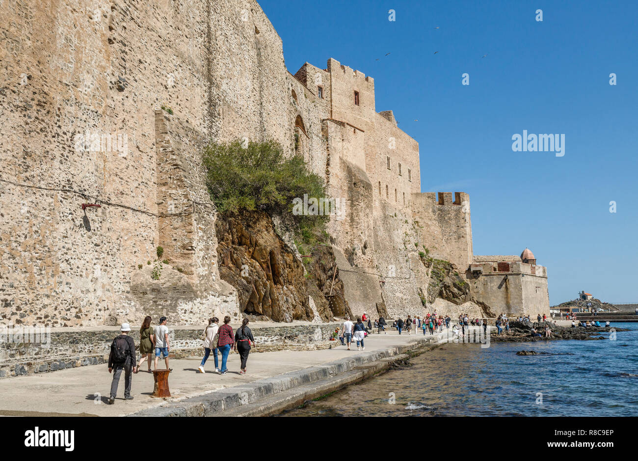 Francia, Pirenei orientali, Cote Vermeille, Collioure, Royal Castle // Francia, Pyrénées-Orientales (66), Côte Vermeille, Collioure, Château Royal Foto Stock