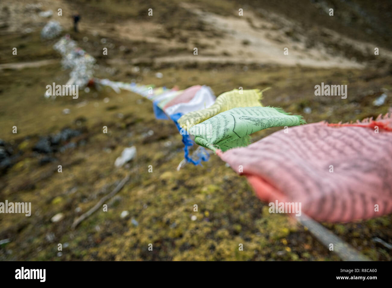 Bandiere di preghiera a Jare La (o Jhari La) pass, Gasa distretto, Snowman Trek, Bhutan Foto Stock