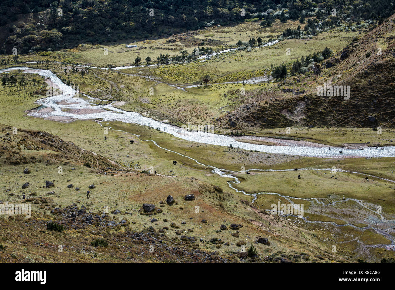 Fiumi in una valle vicino a Robluthang, Gasa distretto, Snowman Trek, Bhutan Foto Stock