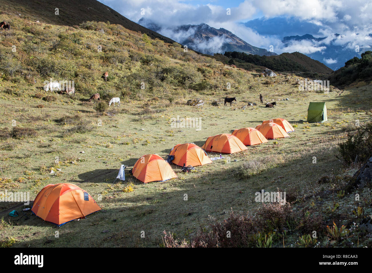 Bivacco a Robluthang, Gasa distretto, Snowman Trek, Bhutan Foto Stock
