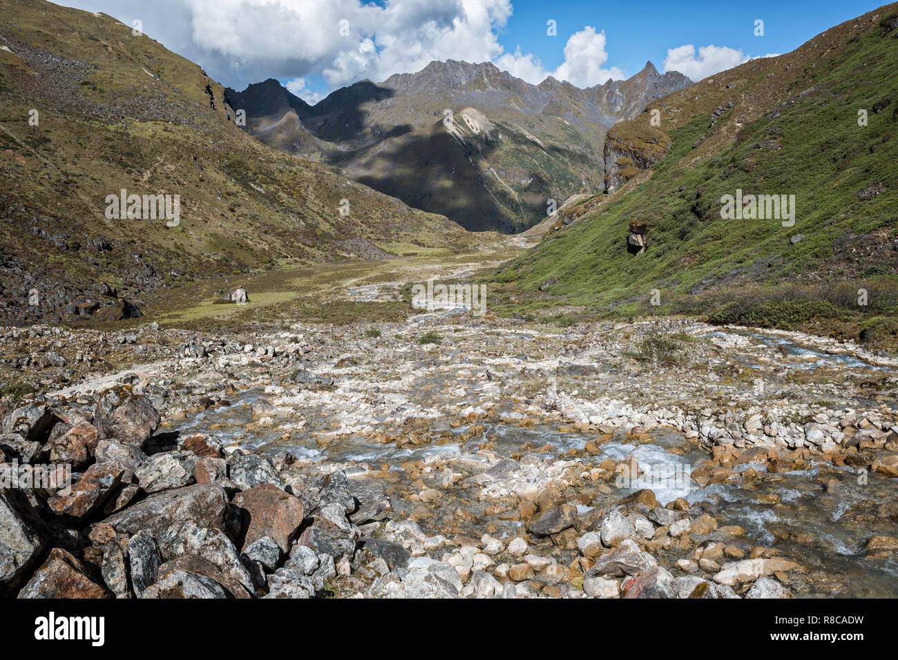 Piccolo ruscello sul modo per Lemithang, Gasa distretto, Snowman Trek, Bhutan Foto Stock