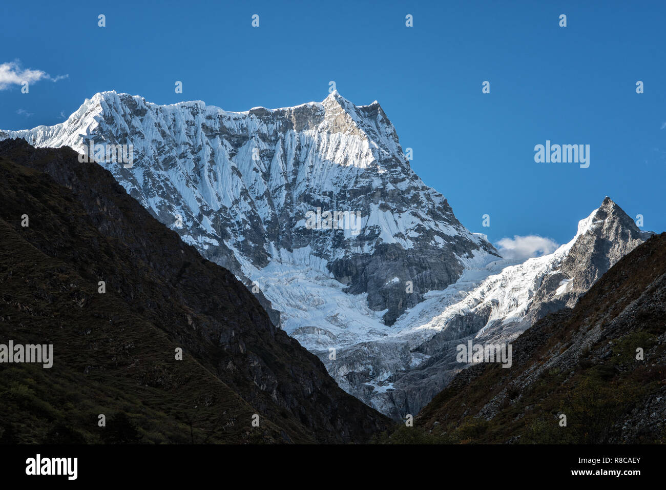 Gangchhenta (grande Tiger montagna), Gasa distretto, Snowman Trek, Bhutan Foto Stock