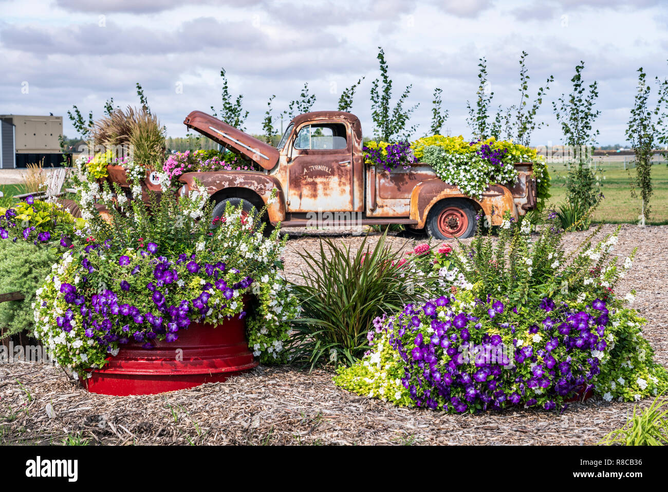 Il Parkside Pioneer Patch mostra floreale in Winkler, Manitoba, Canada. Foto Stock